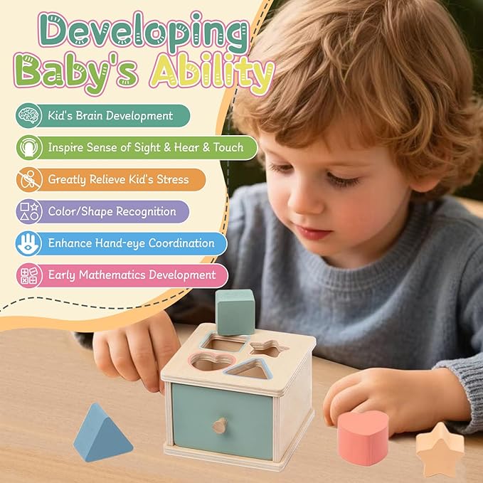 Montessori Toys for 2 3 4 5 Year Old - Wooden Object Permanence Box with Drawer Sensory Toys Shape Sorter Color Sorting Education for Baby Toddler Boy Girl Drop Busy Box (B-Blocks)