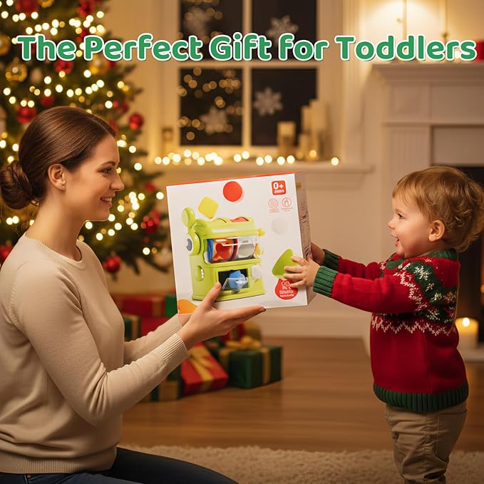 Montessori Shape Sorter Learning Toys for 1 Years Old, Baby Toys 12-18 Months with 6 Sensory Shape Blocks, Developmental Infant Birthday Gifts for Toddler Age 1 2 3