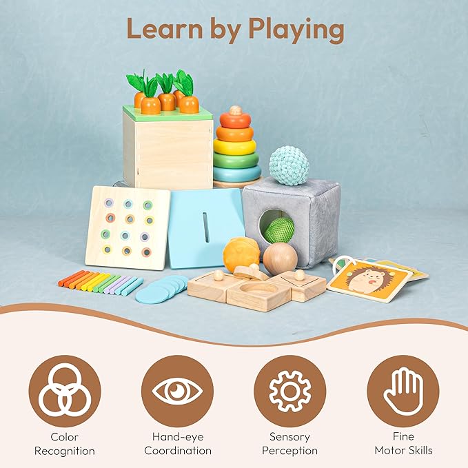 Woodtoe Montessori Toys for 1+ Year Old, Wooden Baby Learning Toys, Object Permanence Box, Color Sorting Sensory Toy, Toddler Fine Motor Skills Game, Educational Christmas Toys for Boy Girl Growth