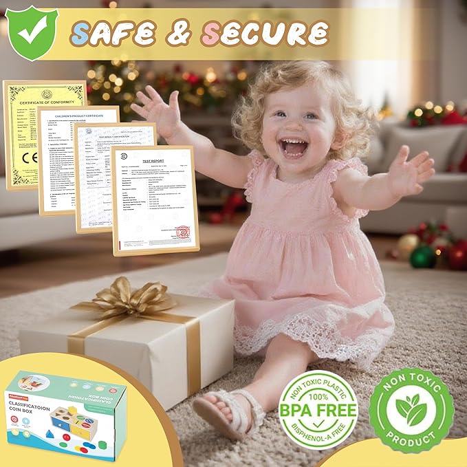 Montessori Toys for 3 4 5 Year Old - Shape Sorter Matching Color Sorting Recognization Sensory Toys for Toddlers Boy Girl Education Preschool Fine Motor Skills Box Gift