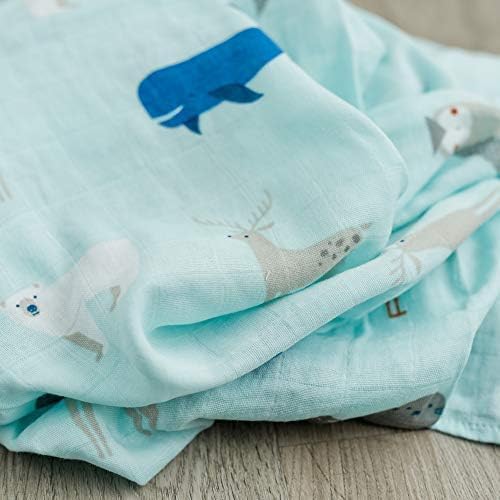 GRACED SOFT LUXURIES 2-Pack Swaddle Blanket Ultra Soft Luxury Decorative Muslin Swaddle Blankets (Arctic World)