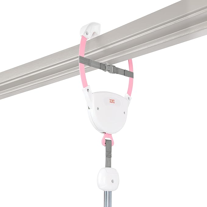 Bright Starts Purple Paradise Door Jumper for Babies 6 to 12 Months or Up to 26 Pounds, Travel Jumper