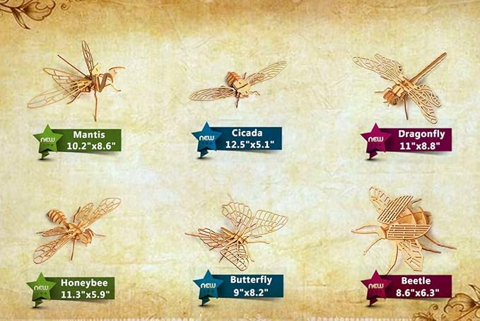 3D Wooden Insect Puzzle - 6 Piece Set Insect Animal Skeleton Assembly Model Puzzle - DIY Wooden Crafts 3D Puzzle - Wood Toys Gifts for Adults & Teens Birthday Gifts Christmas