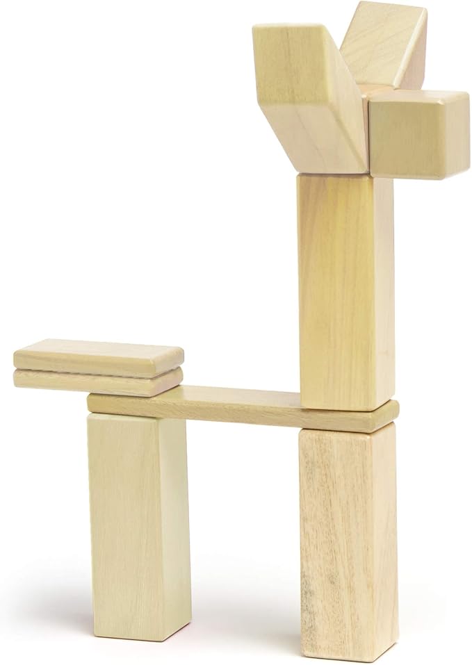24 Piece Tegu Magnetic Wooden Block Set, Natural, 1-99 years old