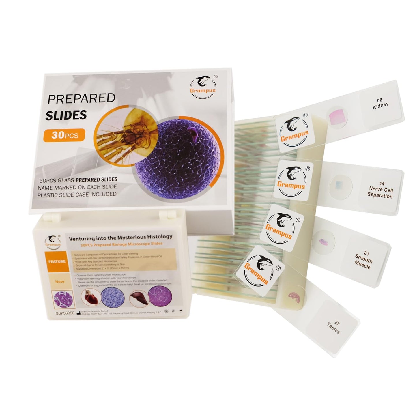 30 Prepared Microscope Slides with Specimens for Kids Students - Histology, for Biological Science Lab, Children's Science Education, Homeschooling Use