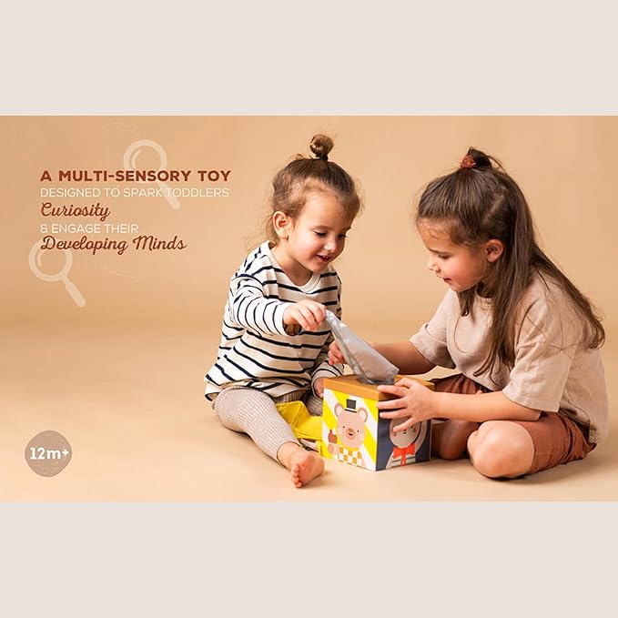 Taf Toys Multi-Sensory Montessori Baby Toy Infant Toys 6-12 Months 16pcs Pieces Baby Tissue Box Toy, Shape Sorter, Play Balls Learning Toys Toddlers 1-3 Motor Skills Development Toddler Activity Cube