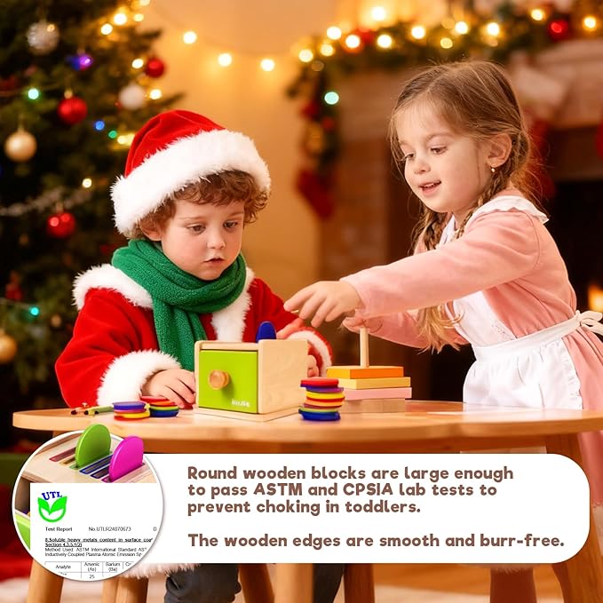 Montessori Toys for 1-3 Year Old: Color Sorting Wooden Drawer Box Toy for Toddlers, Object Permanence and Fine Motor Sensory Toy, 12-18 Months Busy Board Matching Game for Baby Boys and Girls Gifts