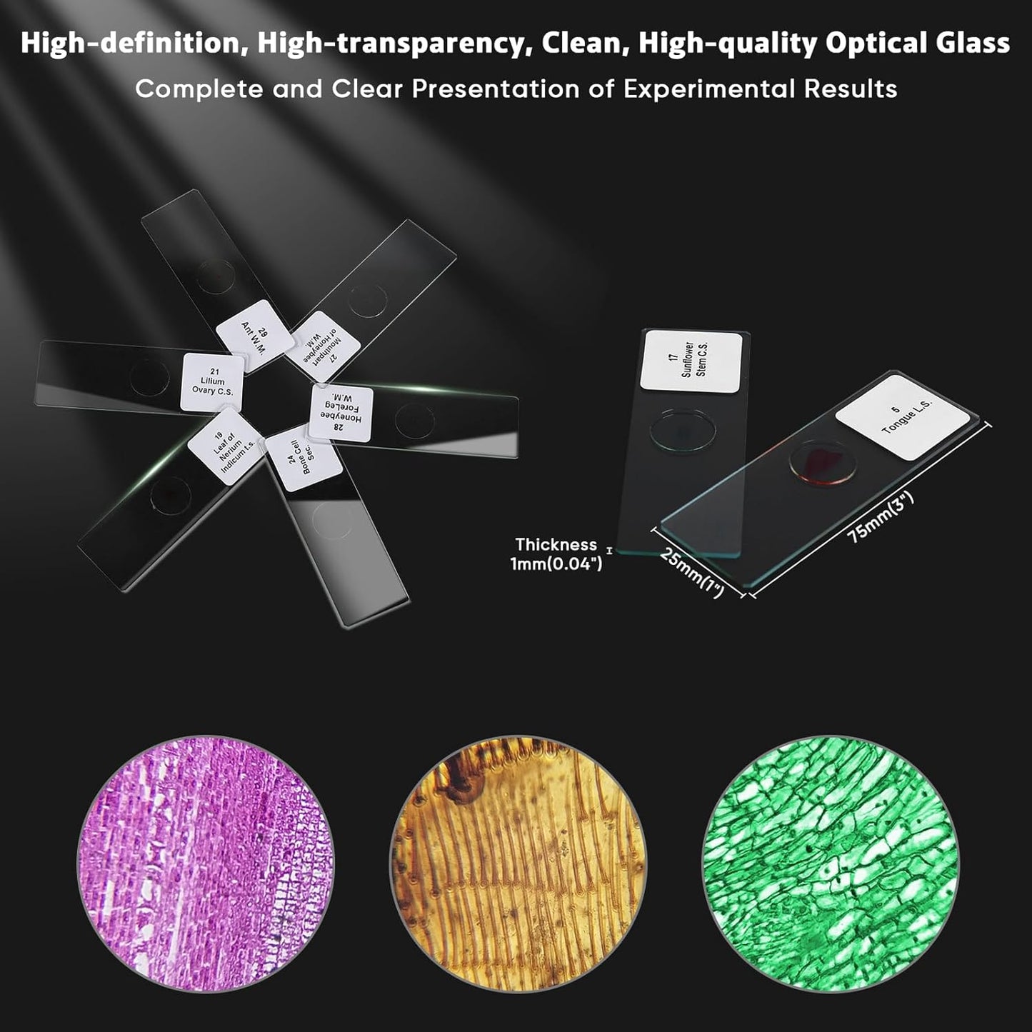 30 Microscope Slides with Specimens,Prepared Microscope Slides for Kids,Glass Slides for Microscope,Prepared Slides for Kids Microscope,Microscope Slide Preparation Kit for Biology Science Classes