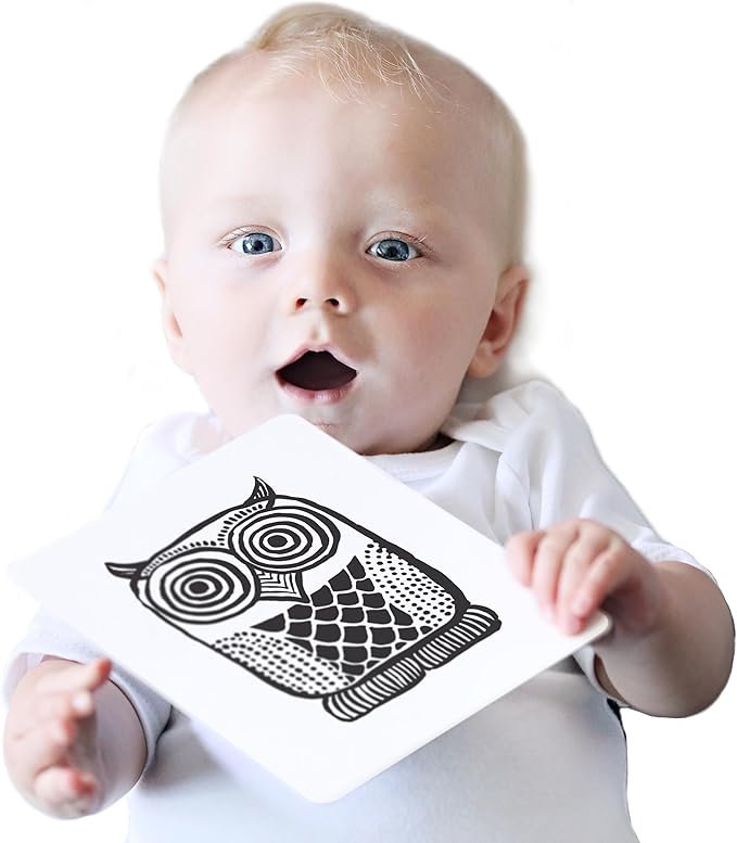 Wee Gallery Art Cards for Baby, Durable High Contrast Black and White Animal Flashcards for Newborns, Brain Development, Sensory Toys, Tummy Time Essentials for Infant and Toddler - Original Animals