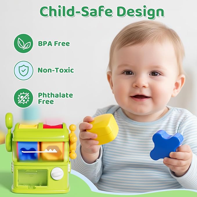 Montessori Shape Sorter Learning Toys for 1 Years Old, Baby Toys 12-18 Months with 6 Sensory Shape Blocks, Developmental Infant Birthday Gifts for Toddler Age 1 2 3