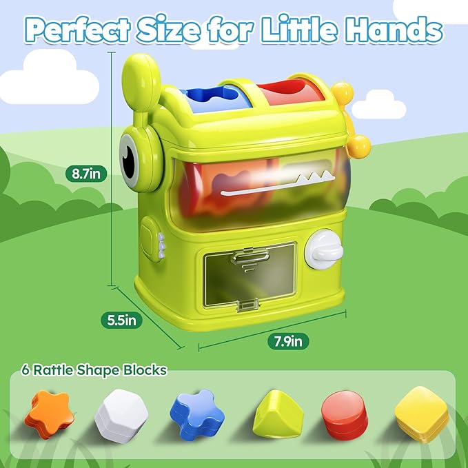 Montessori Shape Sorter Learning Toys for 1 Years Old, Baby Toys 12-18 Months with 6 Sensory Shape Blocks, Developmental Infant Birthday Gifts for Toddler Age 1 2 3