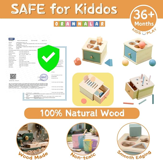 Montessori Toys for 2 3 4 5 Year Old - Wooden Object Permanence Box with Drawer Sensory Toys Shape Sorter Color Sorting Education for Baby Toddler Boy Girl Drop Busy Box (D-Coins)