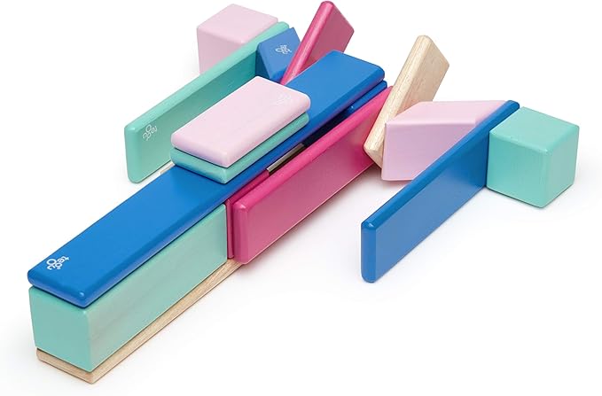 24 Piece Tegu Magnetic Wooden Block Set, Blossom, 1-99 years old