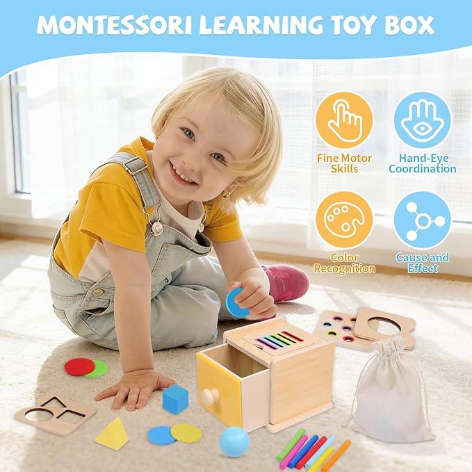 Montessori Toys for 1+ Year Old, 4 in 1 Object Permanence Coin Box, Ball Drop Color Sorting Sensory Fine Motor Skills Toys Shape Sorter for Toddlers 1-3, Gifts for 1 2 3 Year Old Girls Boys