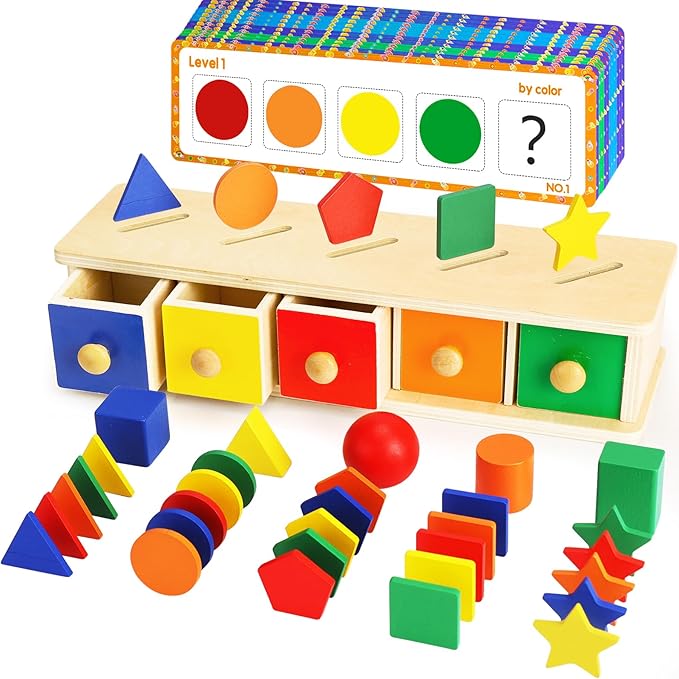 Montessori Toys Wooden Color & Shape Sorter Toys for Toddlers 1-3, Matching Box Sorting Blocks Manipulatives Preschool Learning Educational Toy for 1 2 3 4 Year Old Boy Girl Kid Gifts