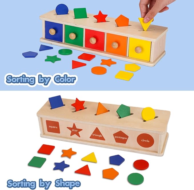 Montessori Toys Wooden Color & Shape Sorter Toys for Toddlers 1-3, Matching Box Sorting Blocks Manipulatives Preschool Learning Educational Toy for 1 2 3 4 Year Old Boy Girl Kid Gifts