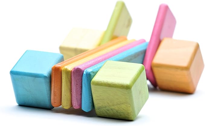 26 Piece Tegu Discovery Magnetic Wooden Block Set,1-99 years old, Tints