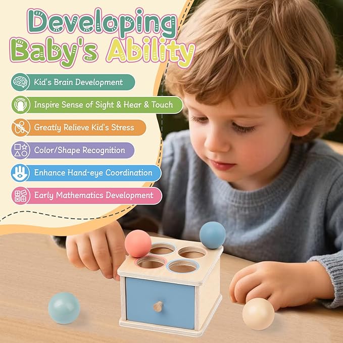 Montessori Toys for 2 3 4 5 Year Old - Wooden Object Permanence Box with Drawer Sensory Toys Shape Sorter Color Sorting Education for Baby Toddler Boy Girl Drop Busy Box (C-Balls)