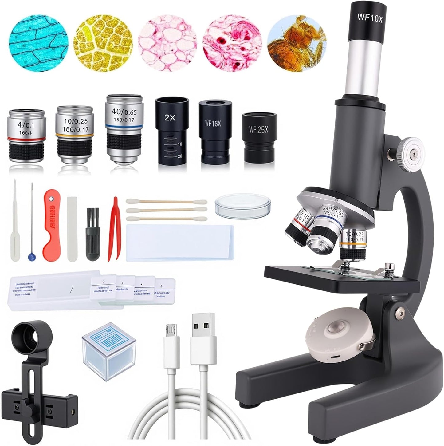 Gray 40-2000X Magnification Compound Microscope for Adults Kids with Slides, Fill Light - Suitable for Children, Students, Home, School, Laboratory Kit