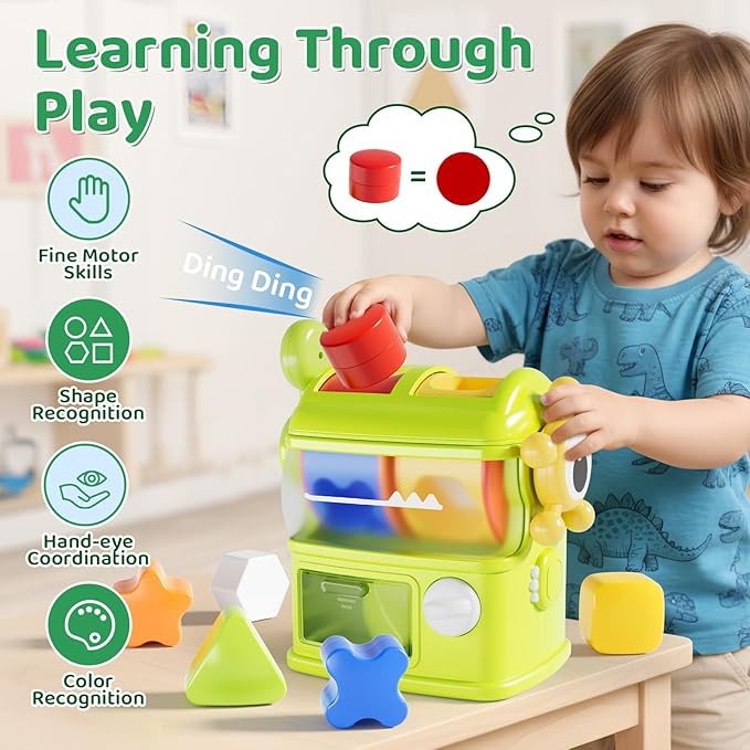 Montessori Shape Sorter Learning Toys for 1 Years Old, Baby Toys 12-18 Months with 6 Sensory Shape Blocks, Developmental Infant Birthday Gifts for Toddler Age 1 2 3