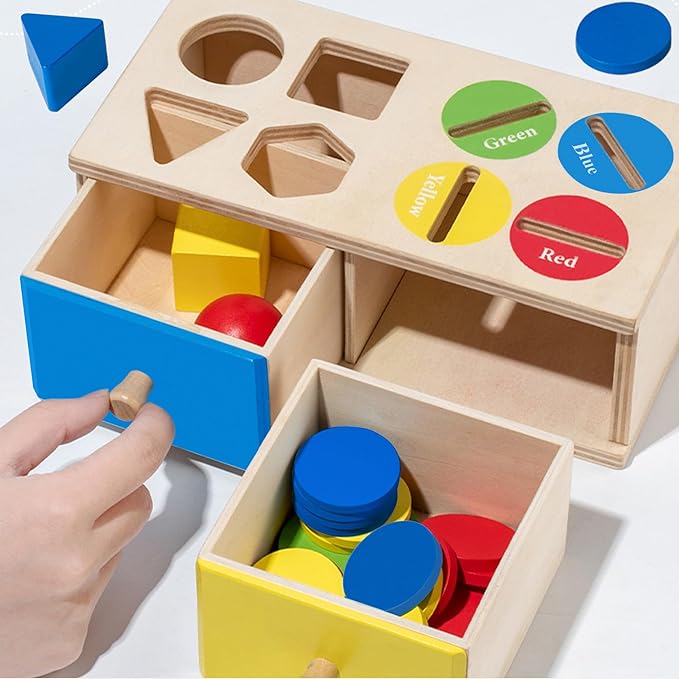 Montessori Toys for 3 4 5 Year Old - Shape Sorter Matching Color Sorting Recognization Sensory Toys for Toddlers Boy Girl Education Preschool Fine Motor Skills Box Gift