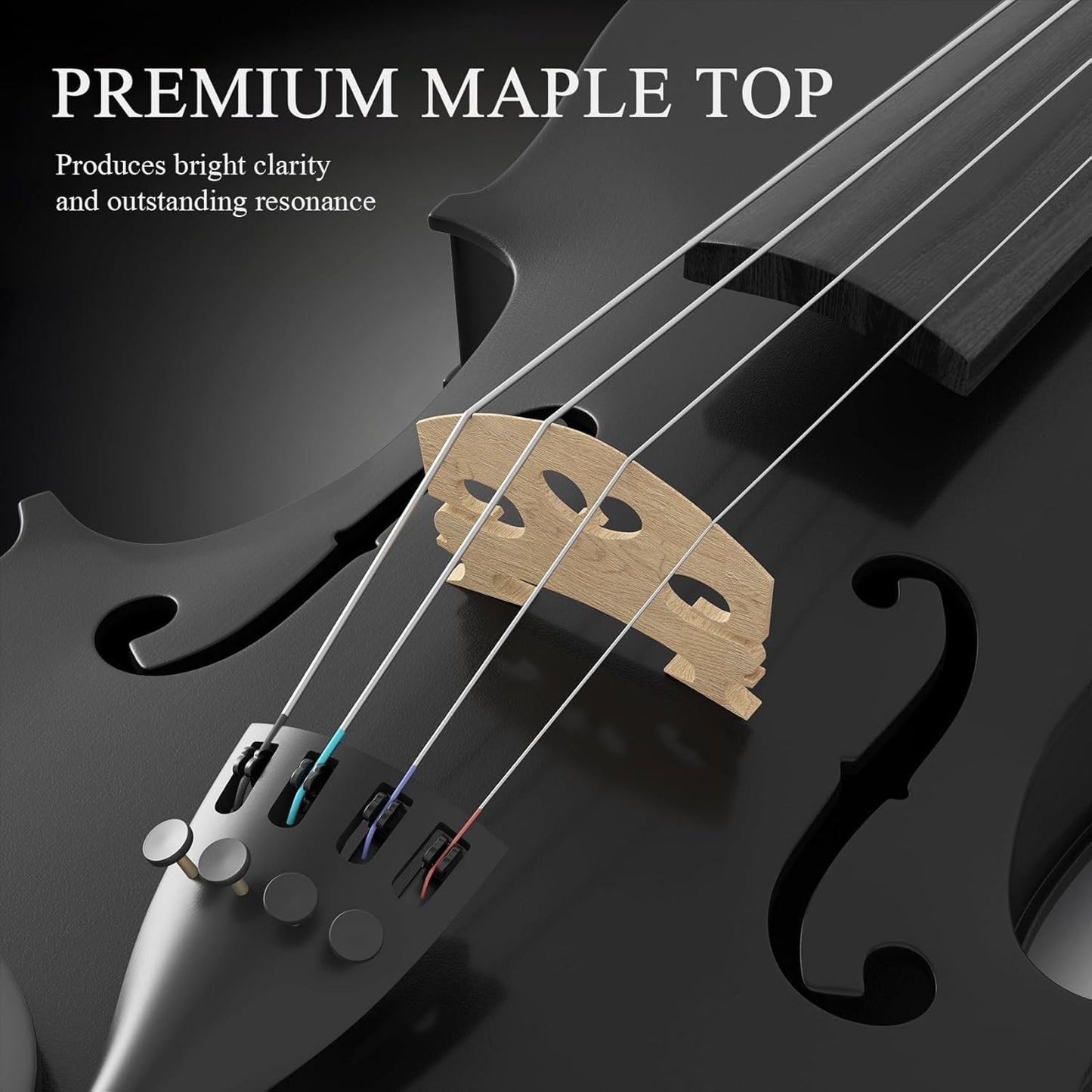 4/4 Beginner Violin Kit for Adults, Complete Full Size Violin Set with Portable Case, Bow, Rosin, Black