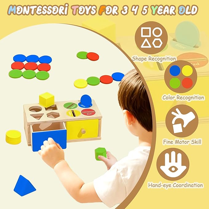 Montessori Toys for 3 4 5 Year Old - Shape Sorter Matching Color Sorting Recognization Sensory Toys for Toddlers Boy Girl Education Preschool Fine Motor Skills Box Gift