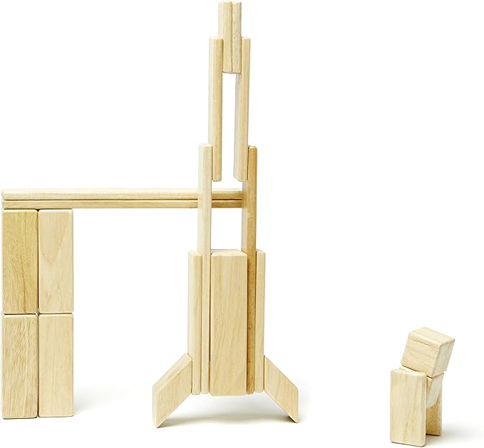 24 Piece Tegu Magnetic Wooden Block Set, Natural, 1-99 years old
