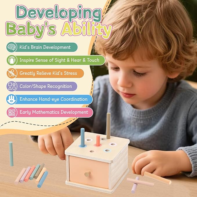 Montessori Toys for 2 3 4 5 Year Old - Wooden Object Permanence Box with Drawer Sensory Toys Shape Sorter Color Sorting Education for Baby Toddler Boy Girl Drop Busy Box (A-pegs)
