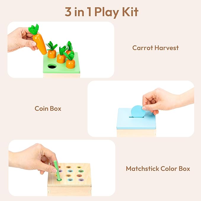 Woodtoe Montessori Toys for 1+ Year Old, Wooden Baby Learning Toys, Object Permanence Box, Color Sorting Sensory Toy, Toddler Fine Motor Skills Game, Educational Christmas Toys for Boy Girl Growth