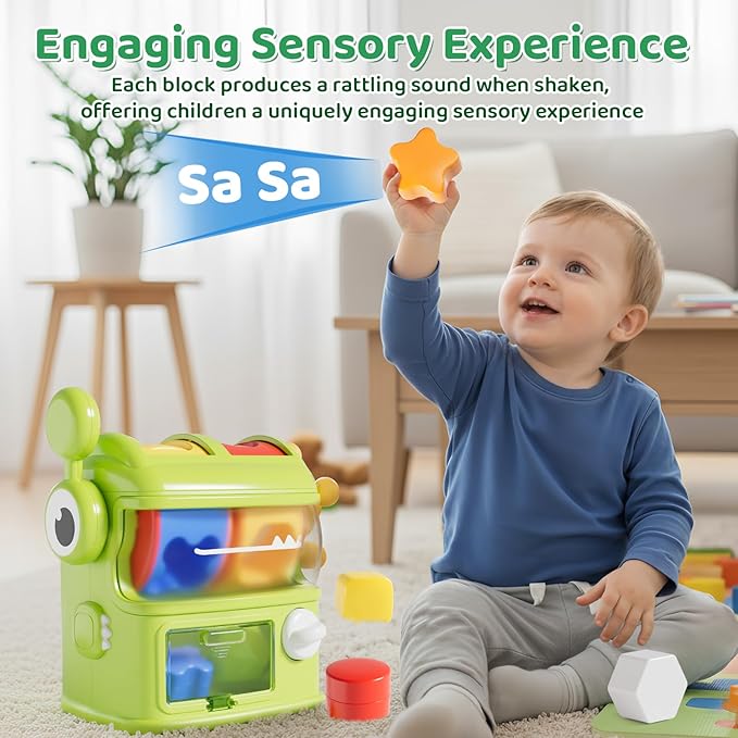 Montessori Shape Sorter Learning Toys for 1 Years Old, Baby Toys 12-18 Months with 6 Sensory Shape Blocks, Developmental Infant Birthday Gifts for Toddler Age 1 2 3