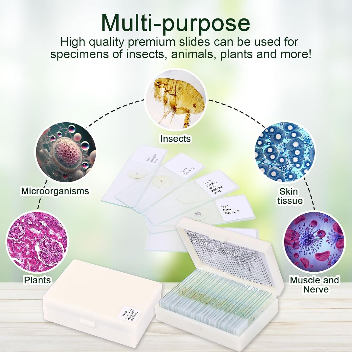 30 Microscope Slides with specimens, Plants, Insects, Animal Cell Samples for use in Biological Science Labs for Children, Students and homeschools