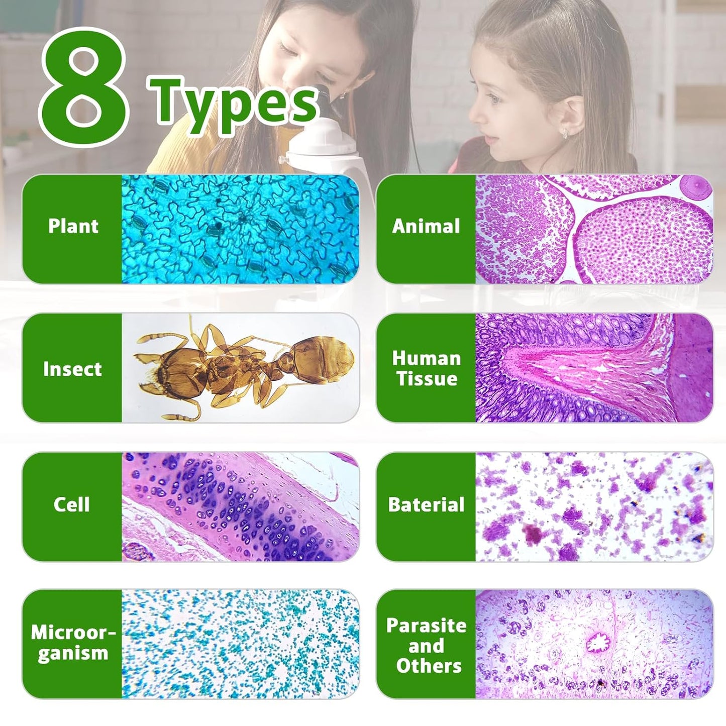 30 Microscope Slides with Specimens,Prepared Microscope Slides for Kids,Glass Slides for Microscope,Prepared Slides for Kids Microscope,Microscope Slide Preparation Kit for Biology Science Classes