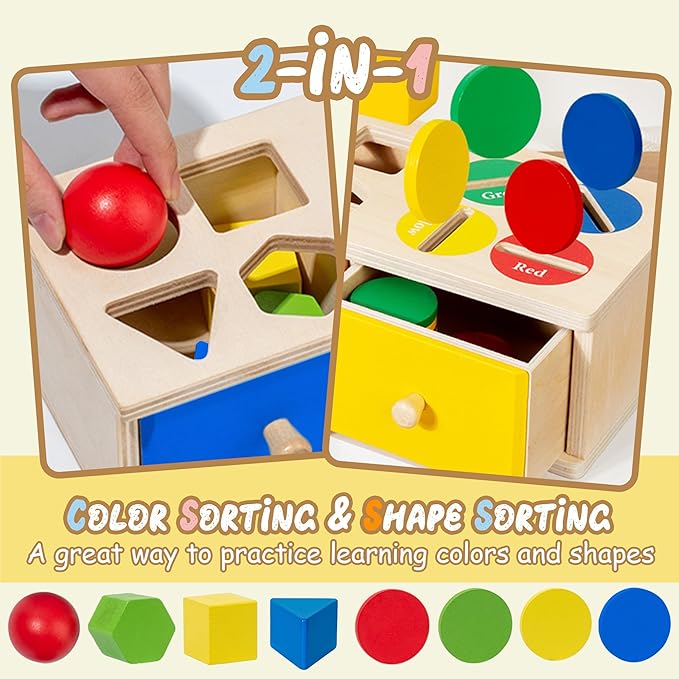Montessori Toys for 3 4 5 Year Old - Shape Sorter Matching Color Sorting Recognization Sensory Toys for Toddlers Boy Girl Education Preschool Fine Motor Skills Box Gift