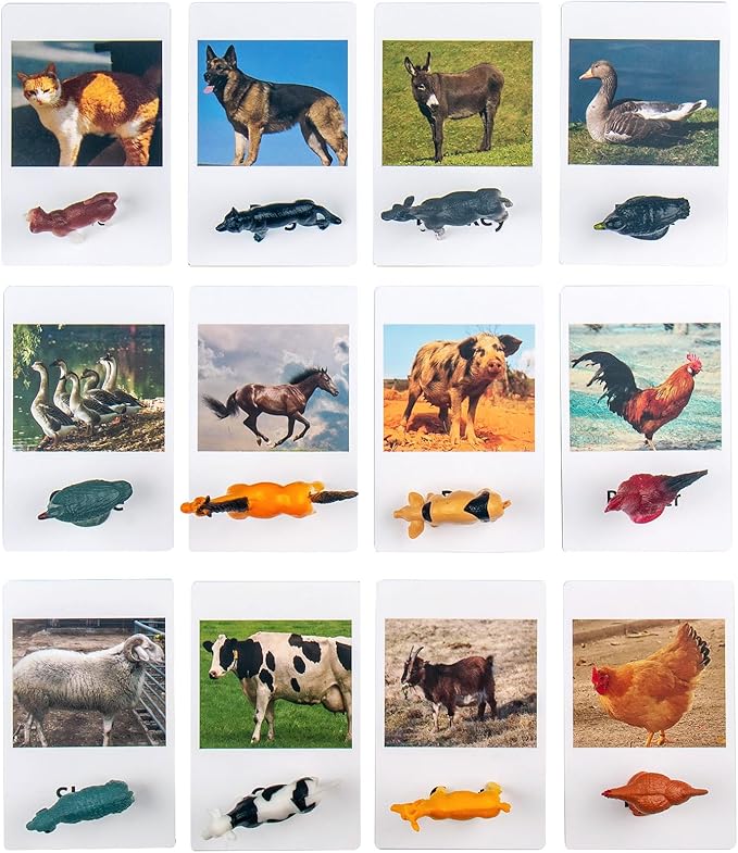 MEROCO Montessori Animal Match Cards Miniature Poultry Animals with Matching Cards - 2 Part Montessori Learning Toy, Language Materials TZX106