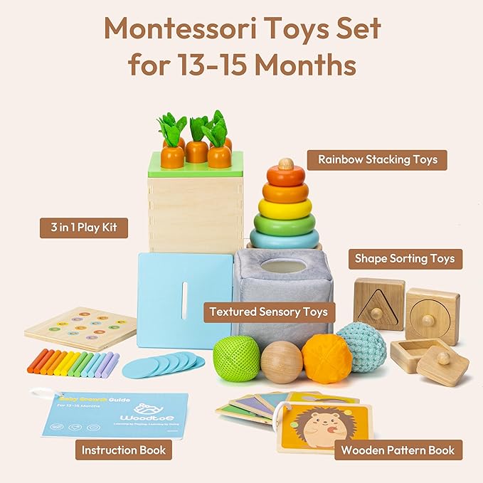 Woodtoe Montessori Toys for 1+ Year Old, Wooden Baby Learning Toys, Object Permanence Box, Color Sorting Sensory Toy, Toddler Fine Motor Skills Game, Educational Christmas Toys for Boy Girl Growth