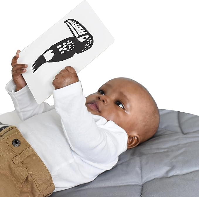 Wee Gallery Art Cards for Baby, Durable High Contrast Black and White Animal Flashcards for Newborns, Brain Development, Sensory Toys, Tummy Time Essentials for Infant and Toddler - Rainforest Animals