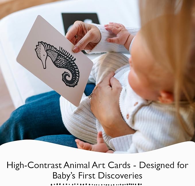 Wee Gallery Art Cards for Baby, Durable High Contrast Black and White Animal Flashcards for Newborns, Brain Development, Sensory Toys, Tummy Time Essentials for Infant and Toddler - Woodland Animals