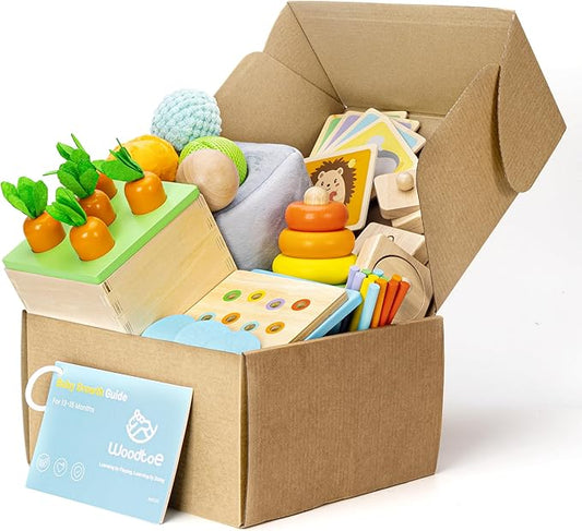 Woodtoe Montessori Toys for 1+ Year Old, Wooden Baby Learning Toys, Object Permanence Box, Color Sorting Sensory Toy, Toddler Fine Motor Skills Game, Educational Christmas Toys for Boy Girl Growth